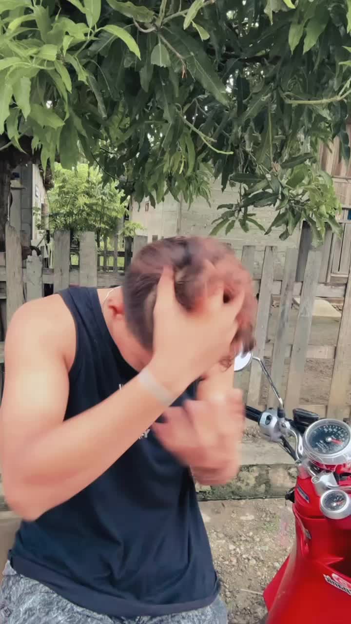 @Novalino