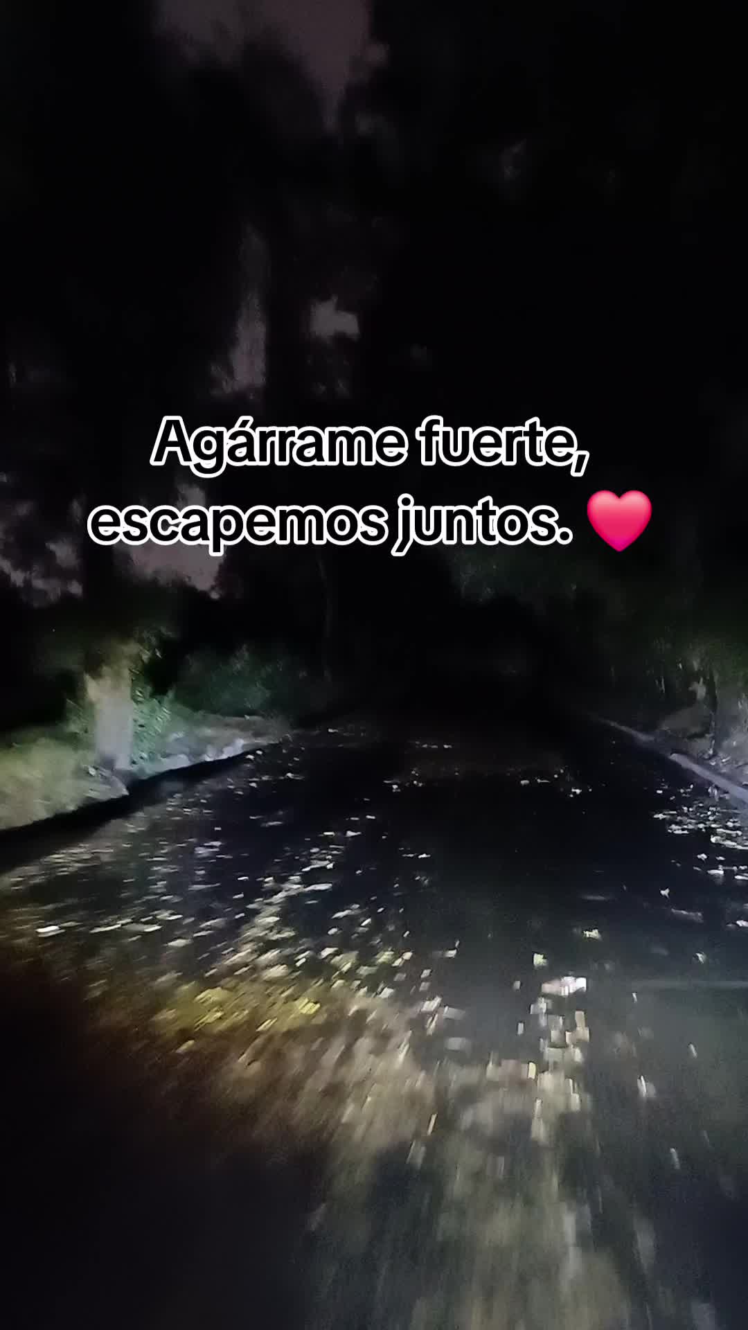 @AraMorales✨