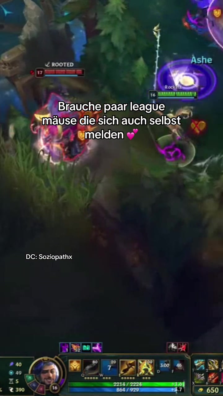 @yjzk
