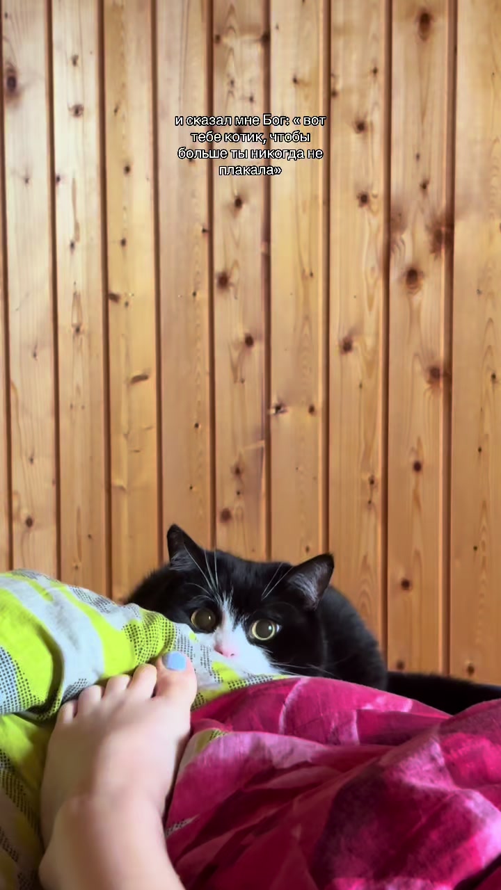 @Ꮆ卄ㄖ丂ㄒ
