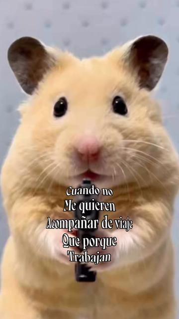@SoyErikAlan