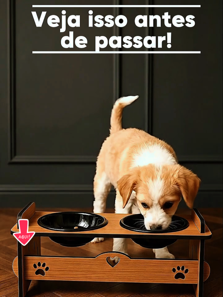 @Fiel e Felino