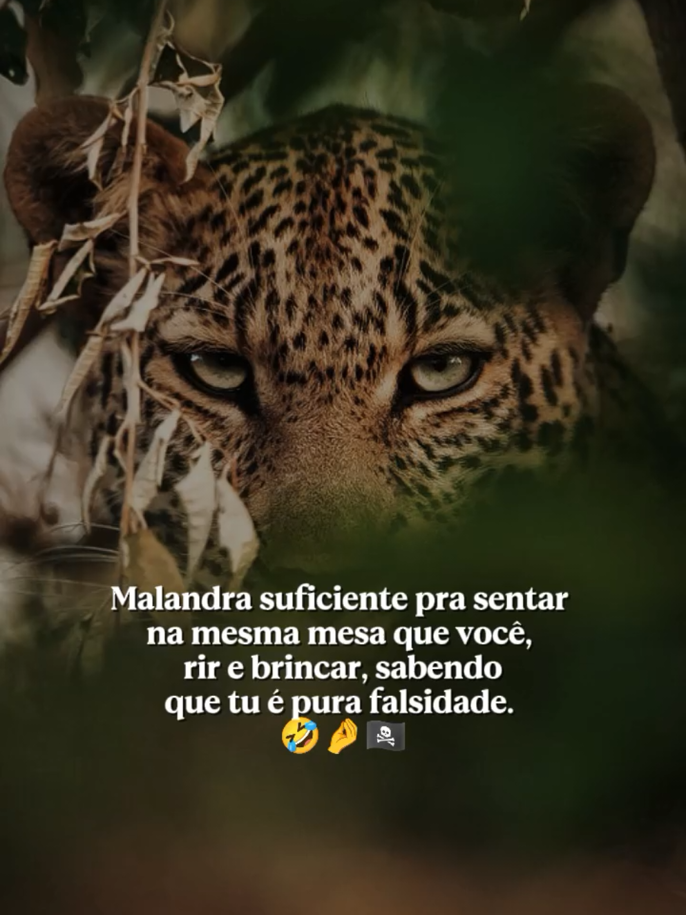 @𝙁𝙚𝙡𝙞𝙣𝙖.𝙈𝙚𝙣𝙩𝙚96🐆❤️
