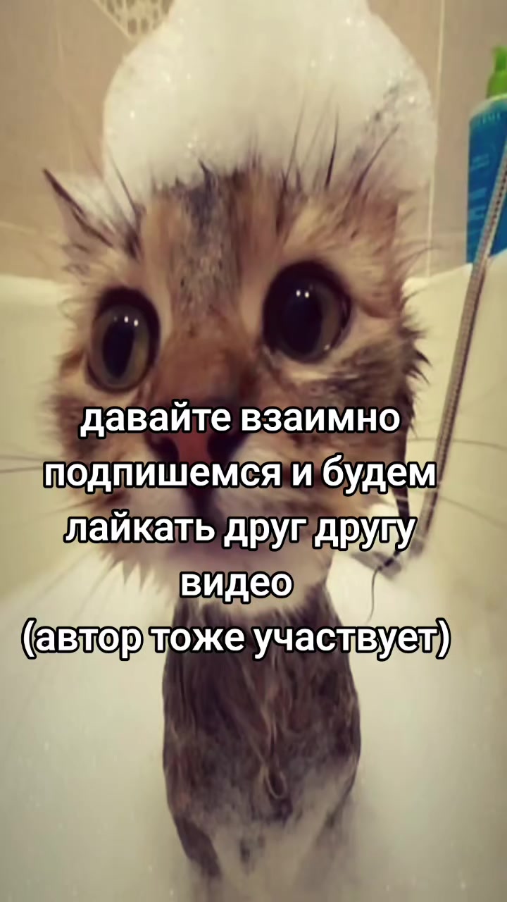 @❤️🍷Svetohka❤️🍷