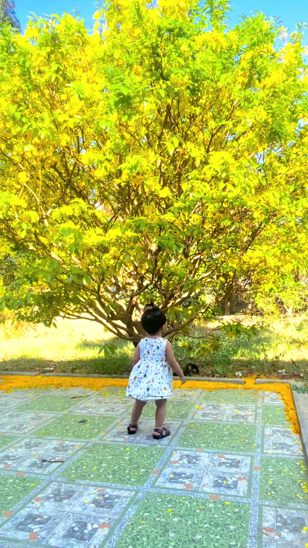 @VTNN Trung Hiếu 1