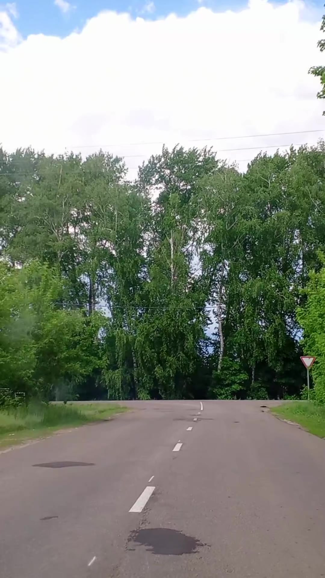 @vladimir