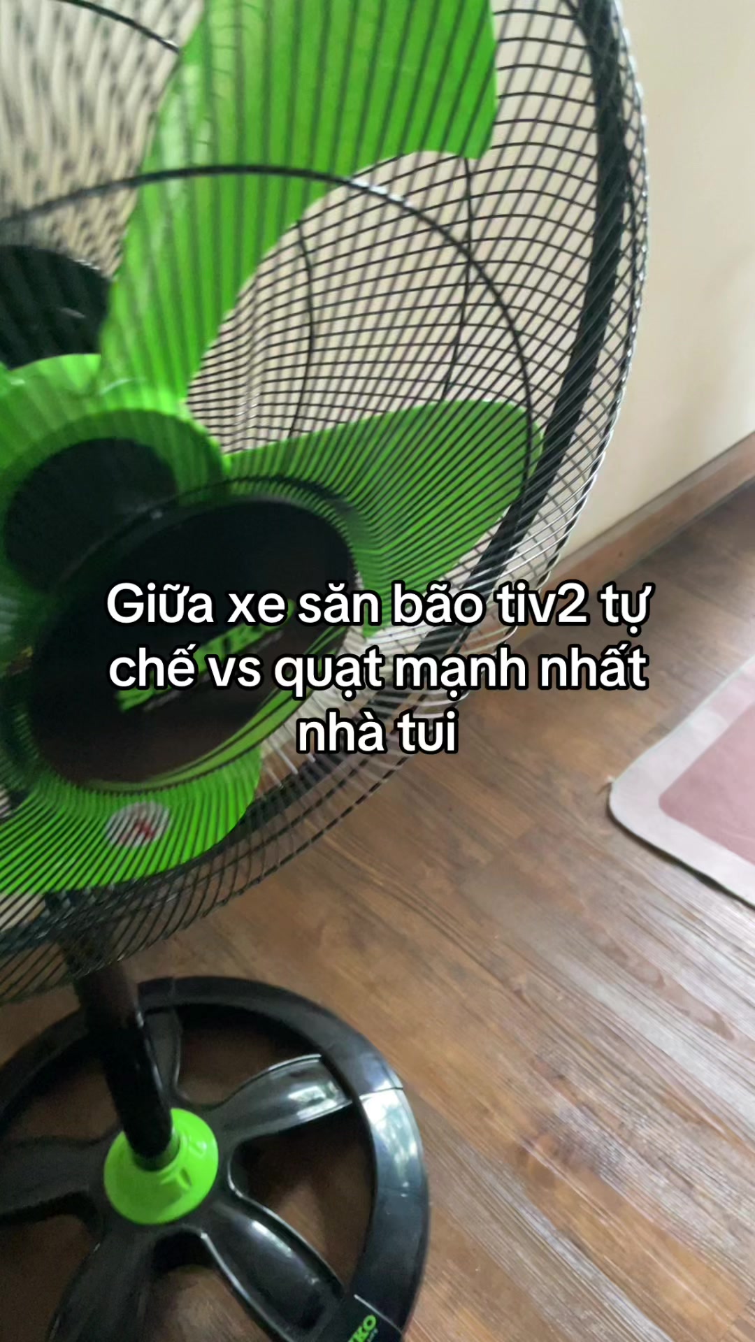 @Cheems