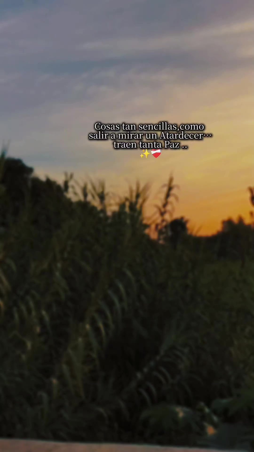 @ᥫ᭡ ɢɪs֟፝ᴇʟ ᴹ᭄♡