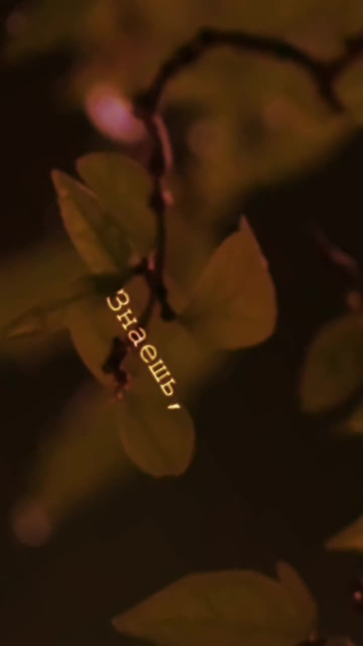 @໔ৡНаталья໔ৡ