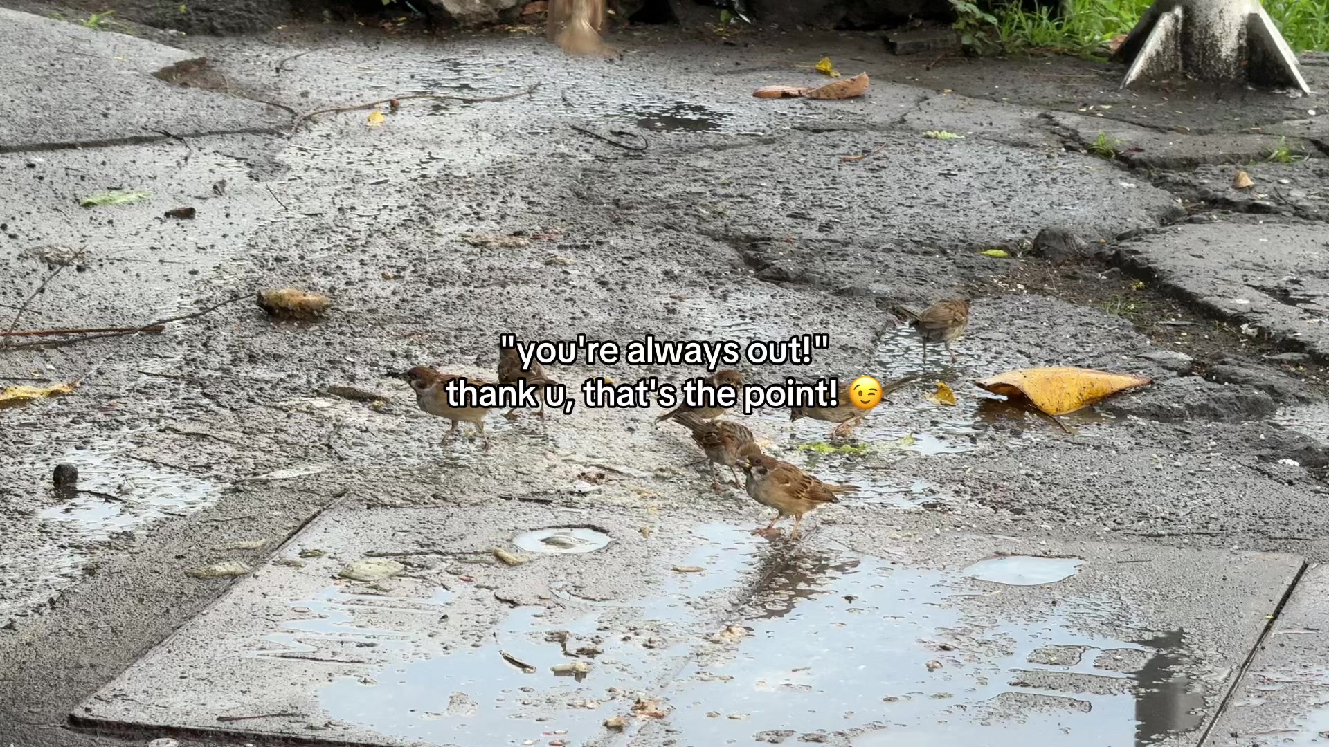 @c