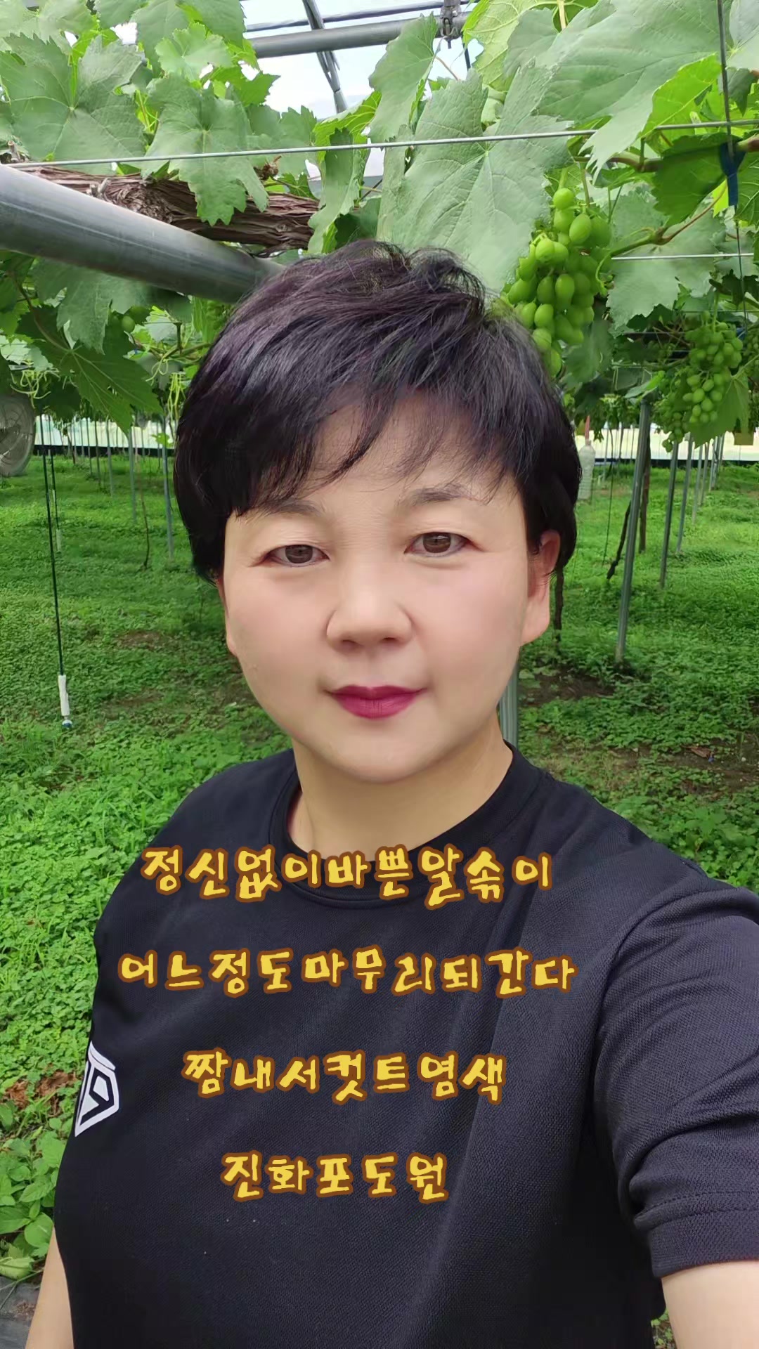@진화포도원