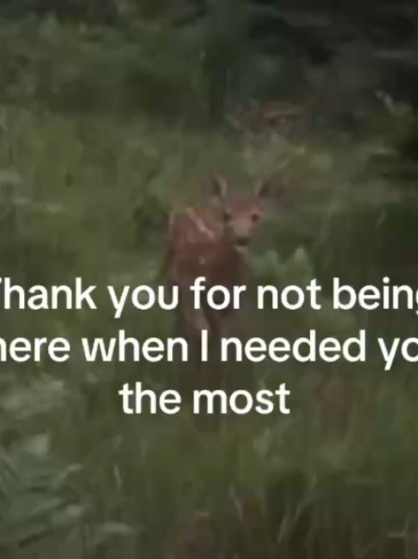 @Lilian