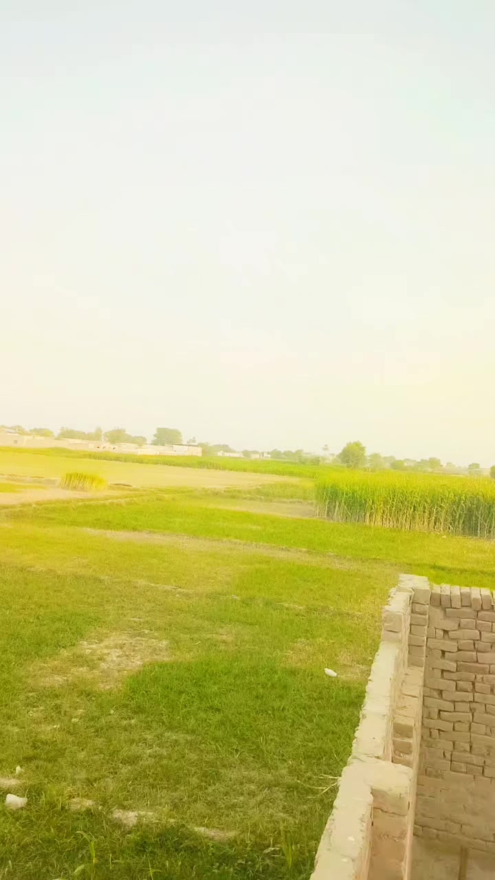 @A.  Z