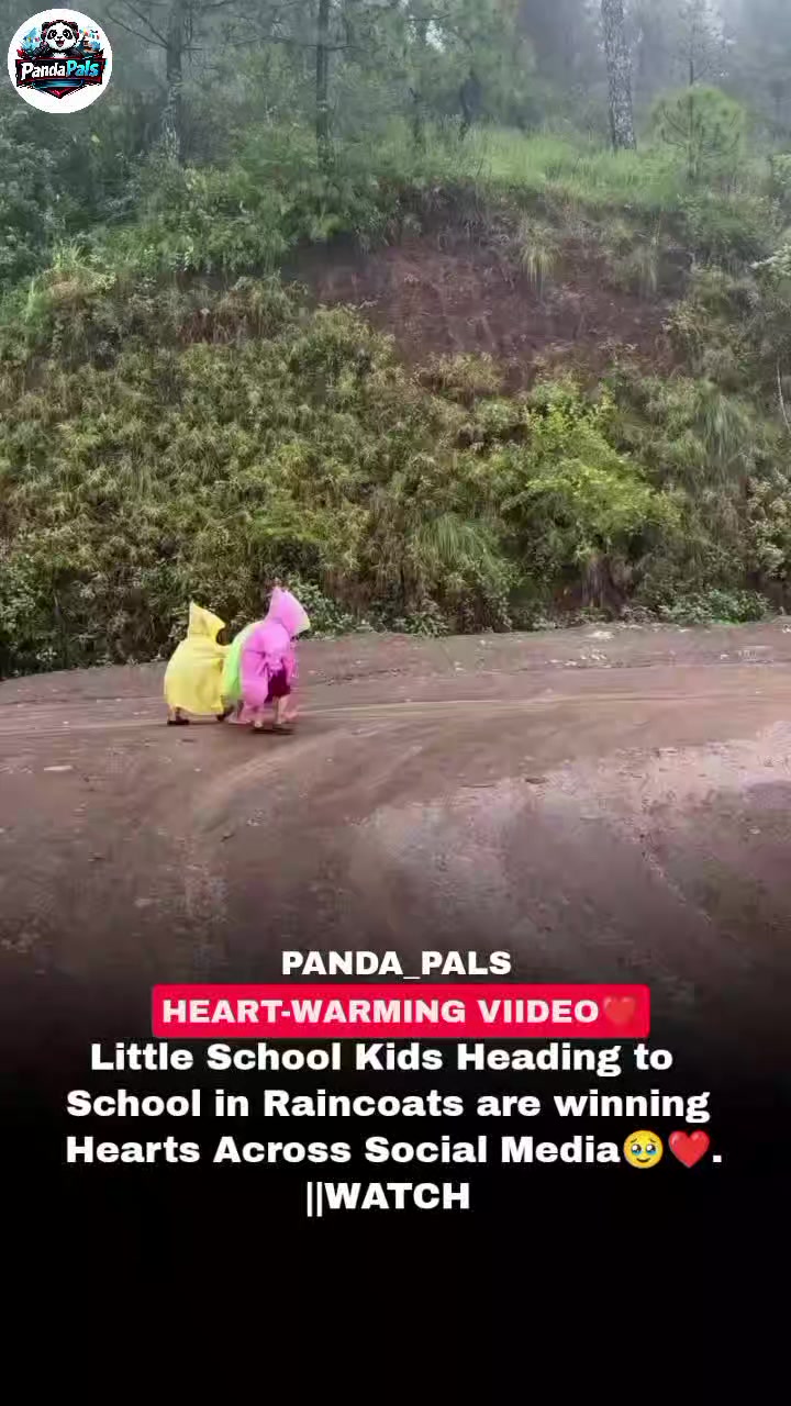 @PandaPals