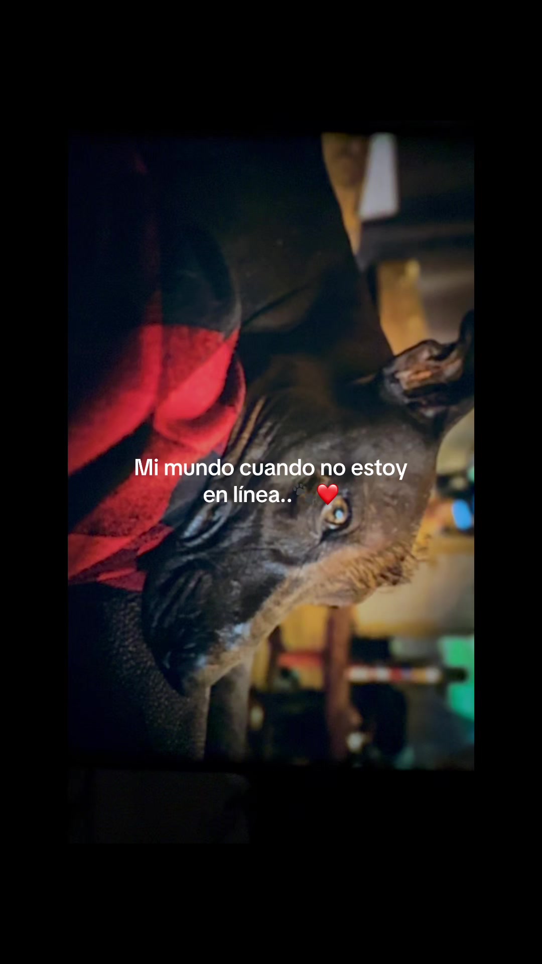 @Clau XD Ventura
