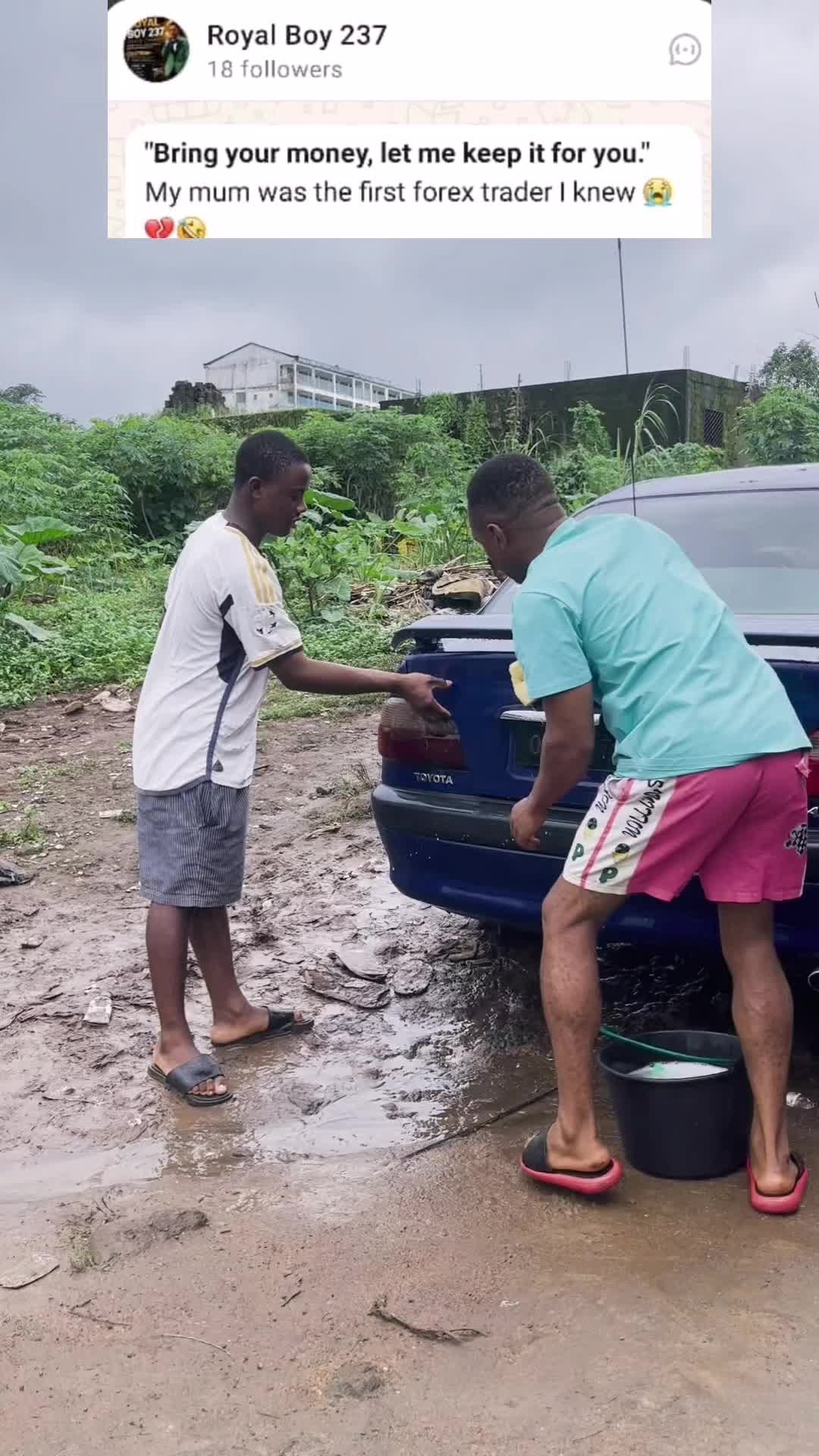 @Royal Boy 237
