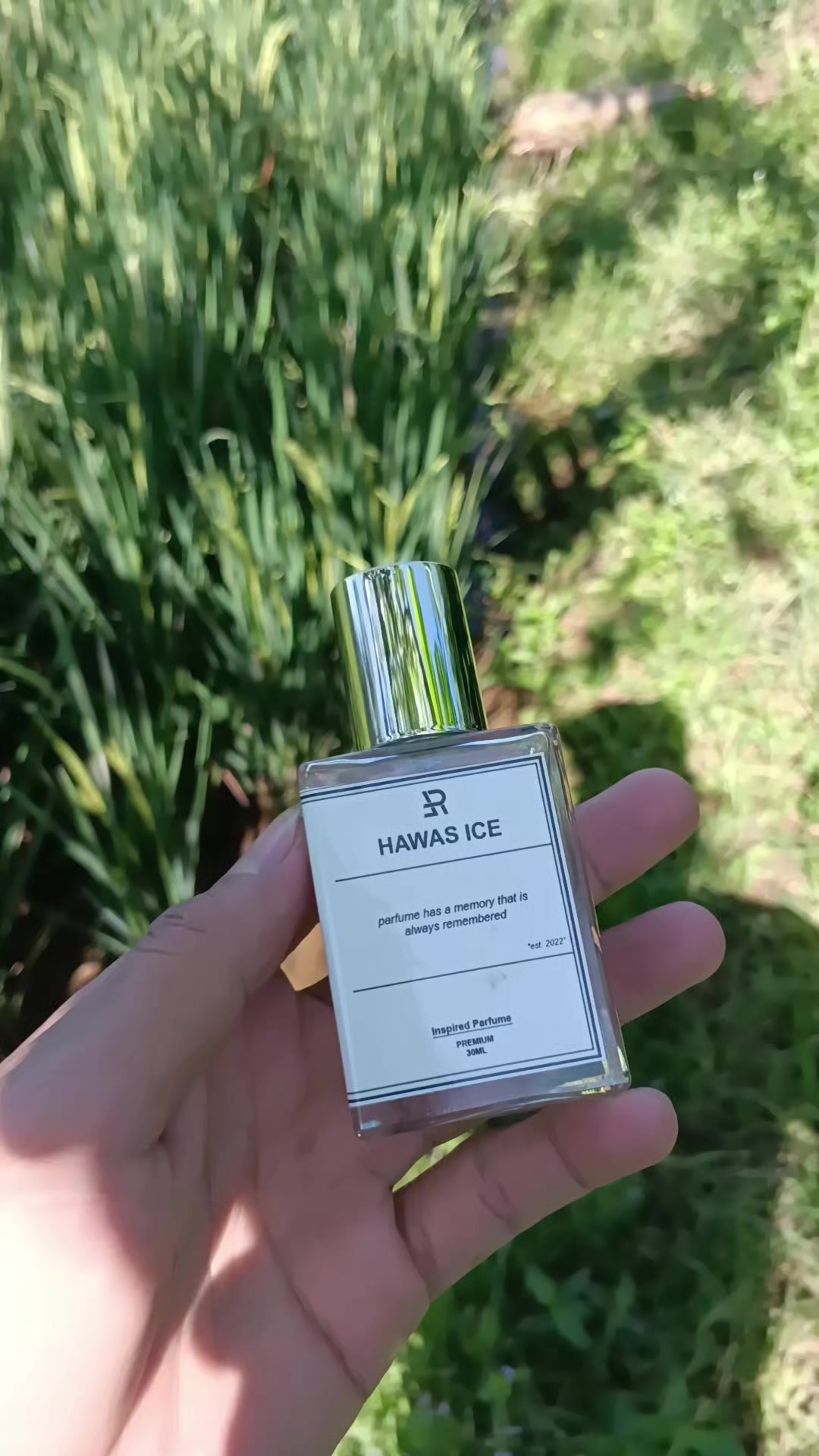 @AraNFth🦋