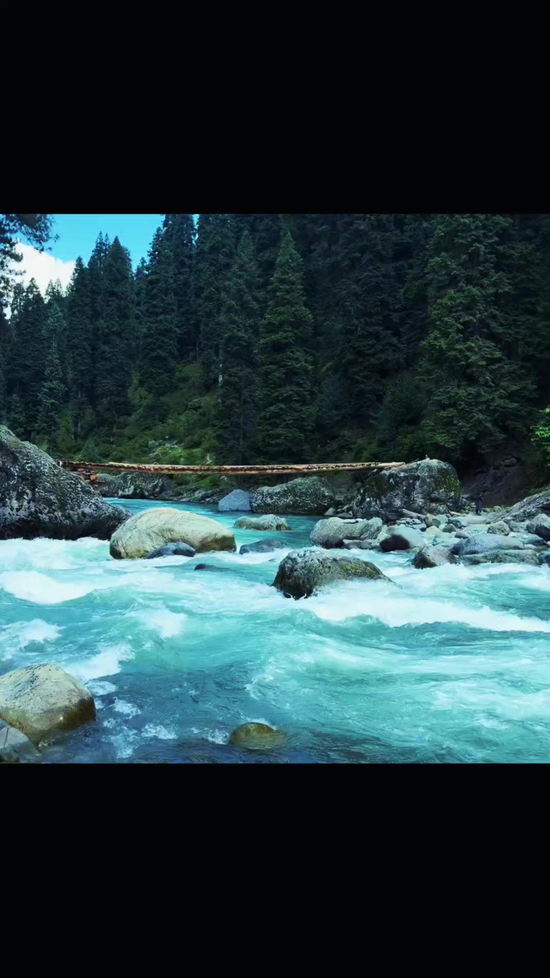 @md1_98