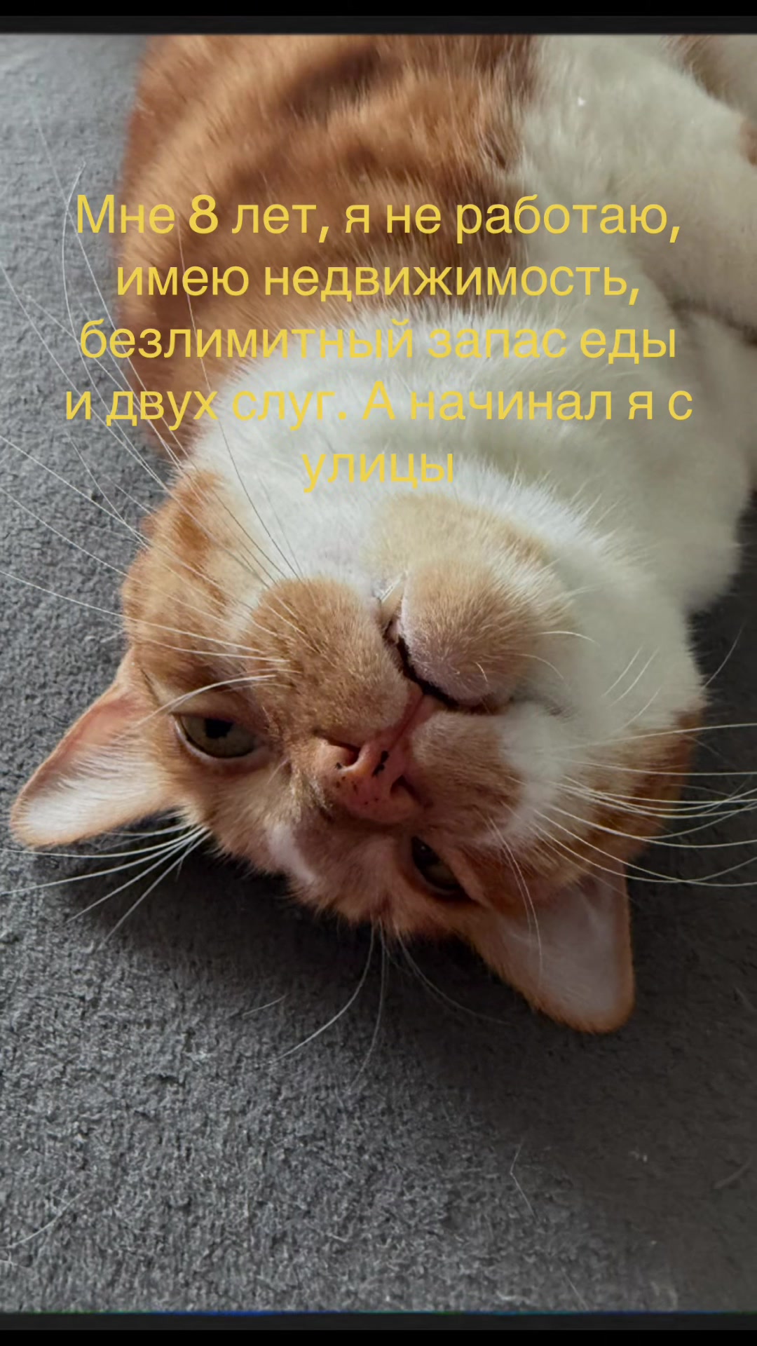 @Людмила Якушкина