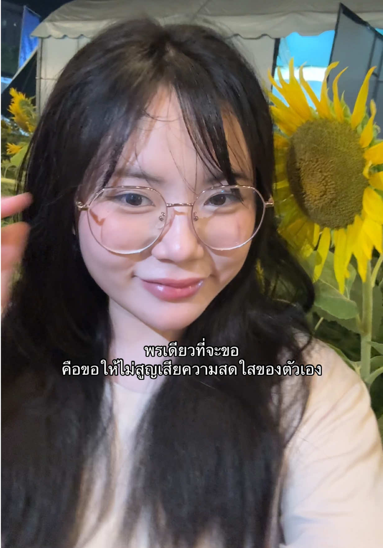 @เหมียวไนซ์