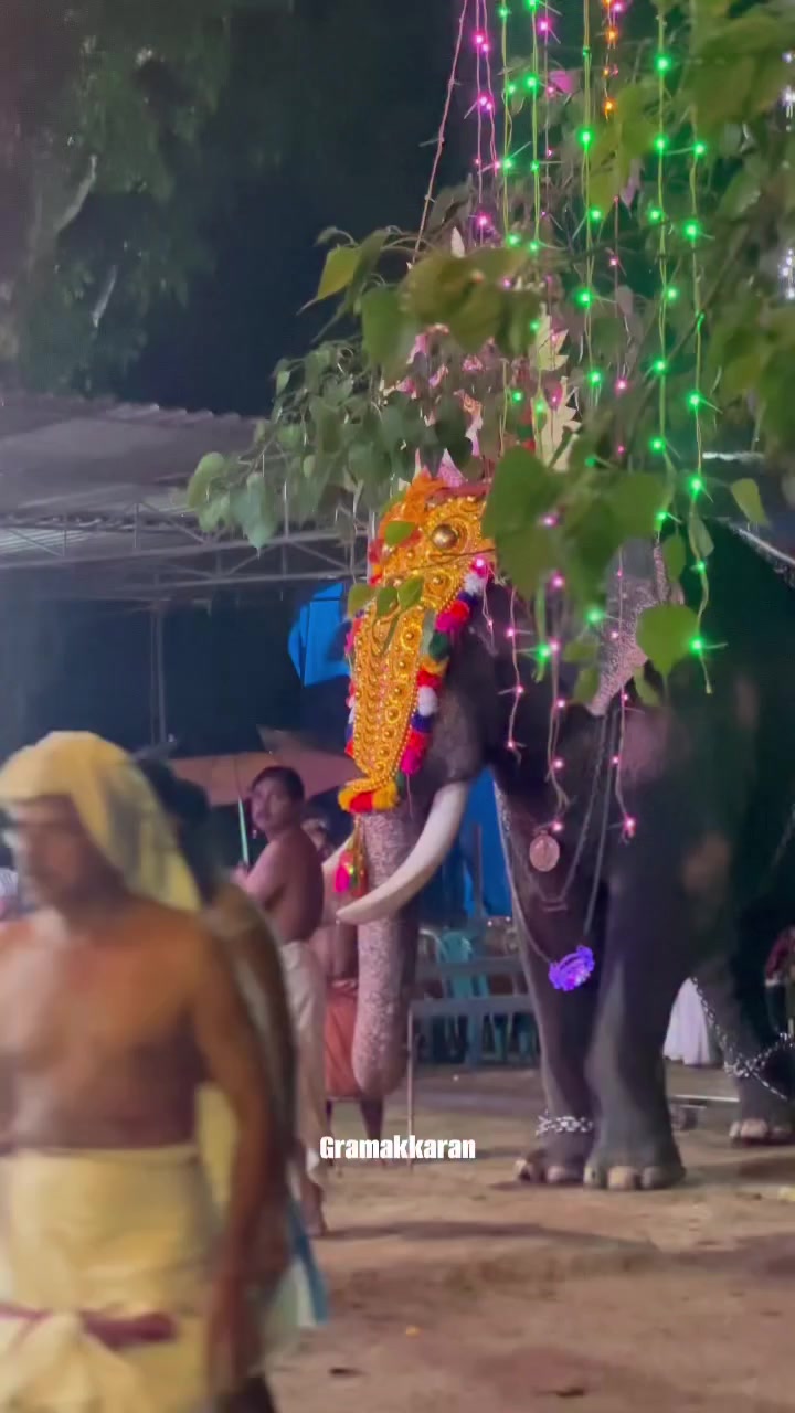 @sanuthankappan17 gramam star's