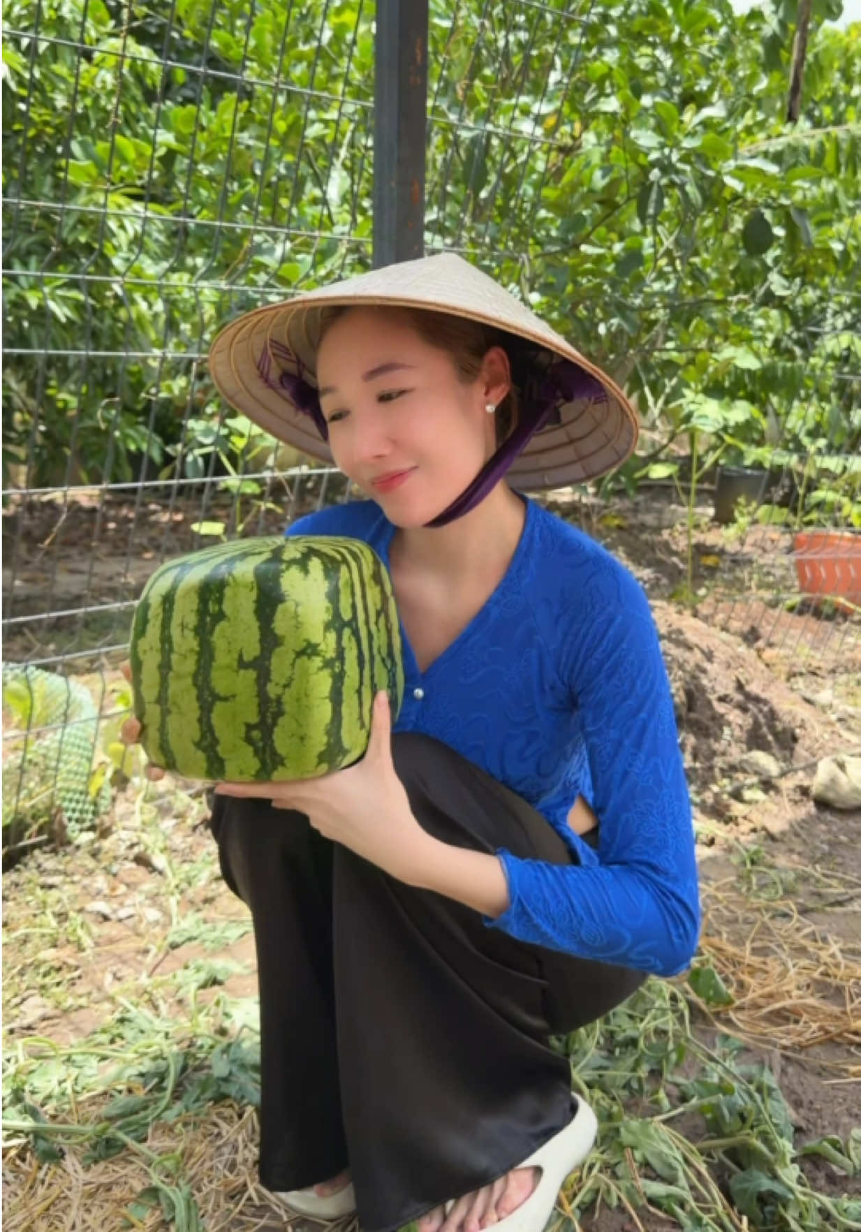 @Nguyễn Huỳnh Như