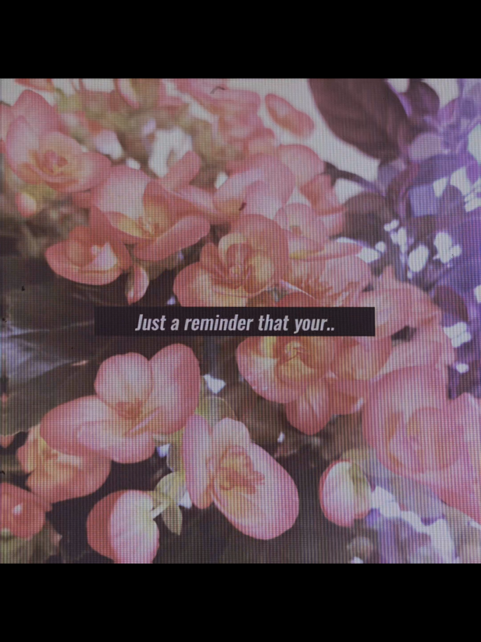 @○&deg;&bull;☆A-Dumb-Editor☆&bull;&deg;○