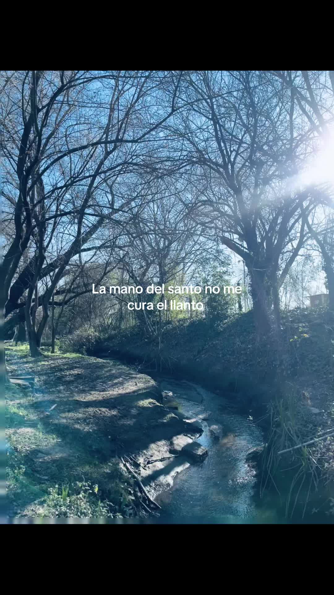 @Brenashe