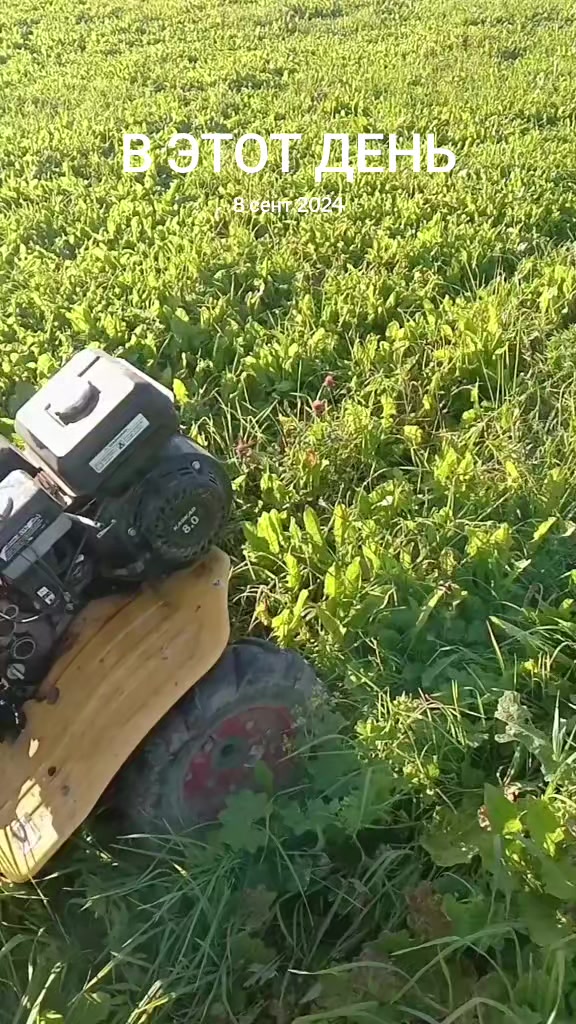 @⚜️Jupiter_159rus⚜️
