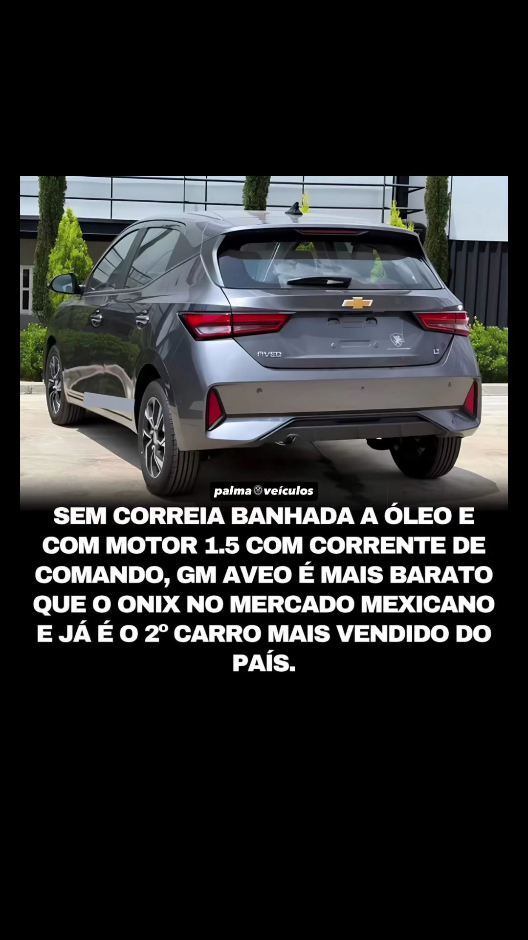 @palmaveiculos