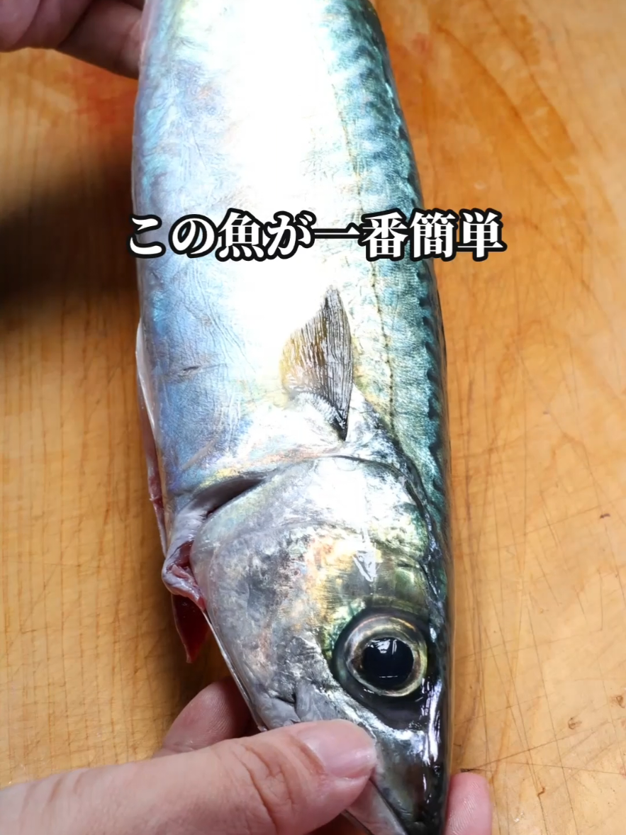 @セイゴ水産