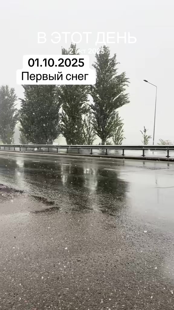 @muminova_m_m_