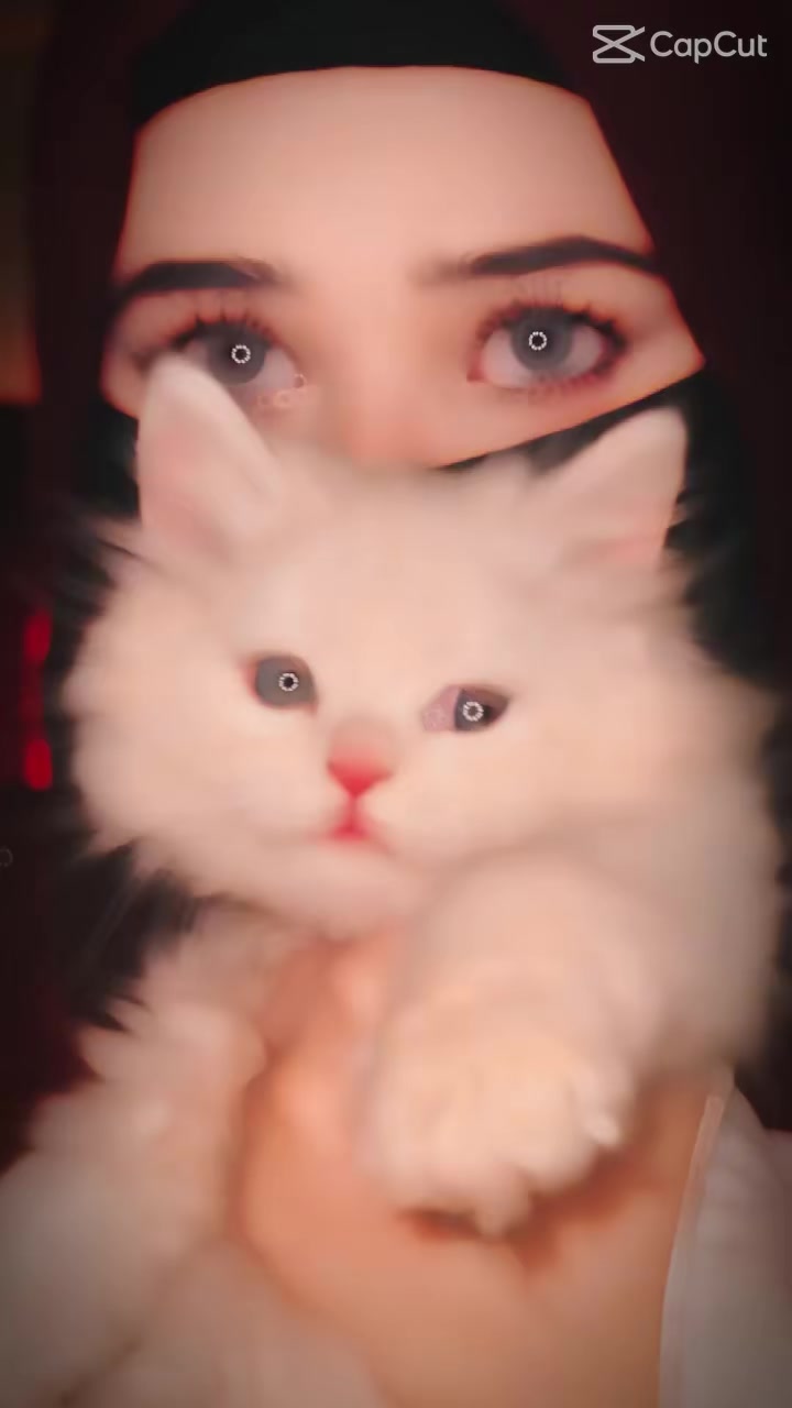 @okok