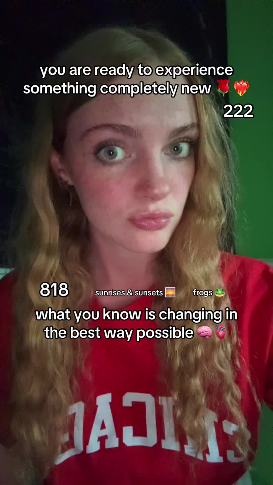 @heidi 🦊🐉🧚⋆⭒˚.⋆
