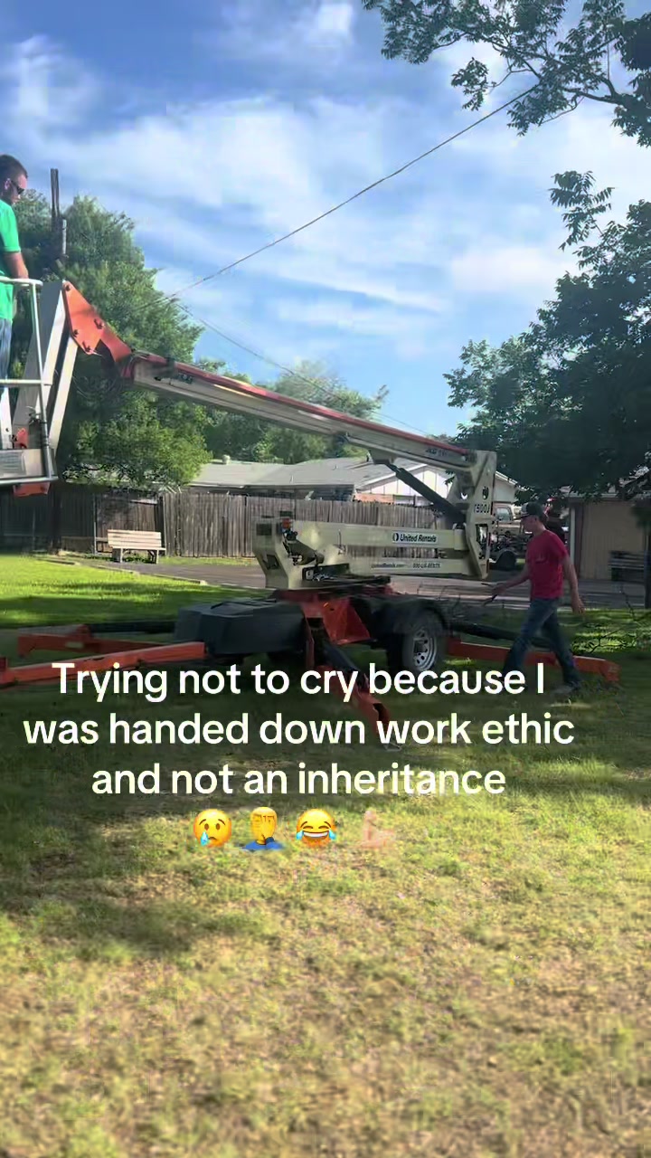 @Superior Lawn and Tree