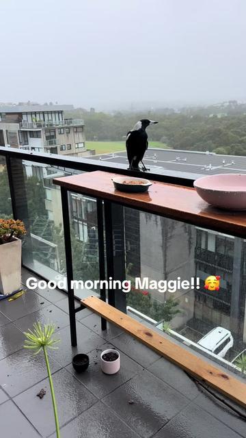@Bella 💖🇦🇺