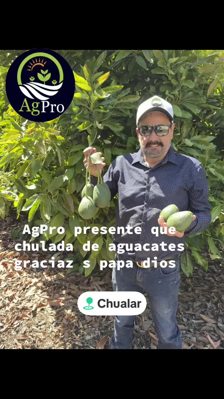 @Piedad Ayala