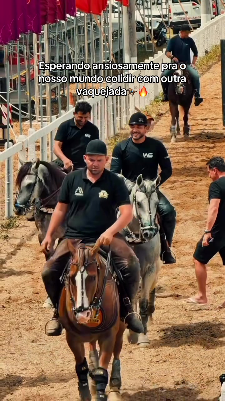 @Wesley Safadão