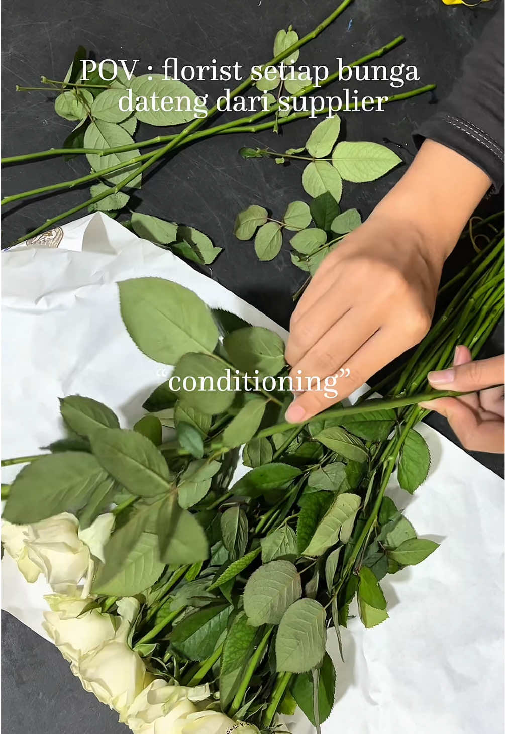 @May Peony Florist