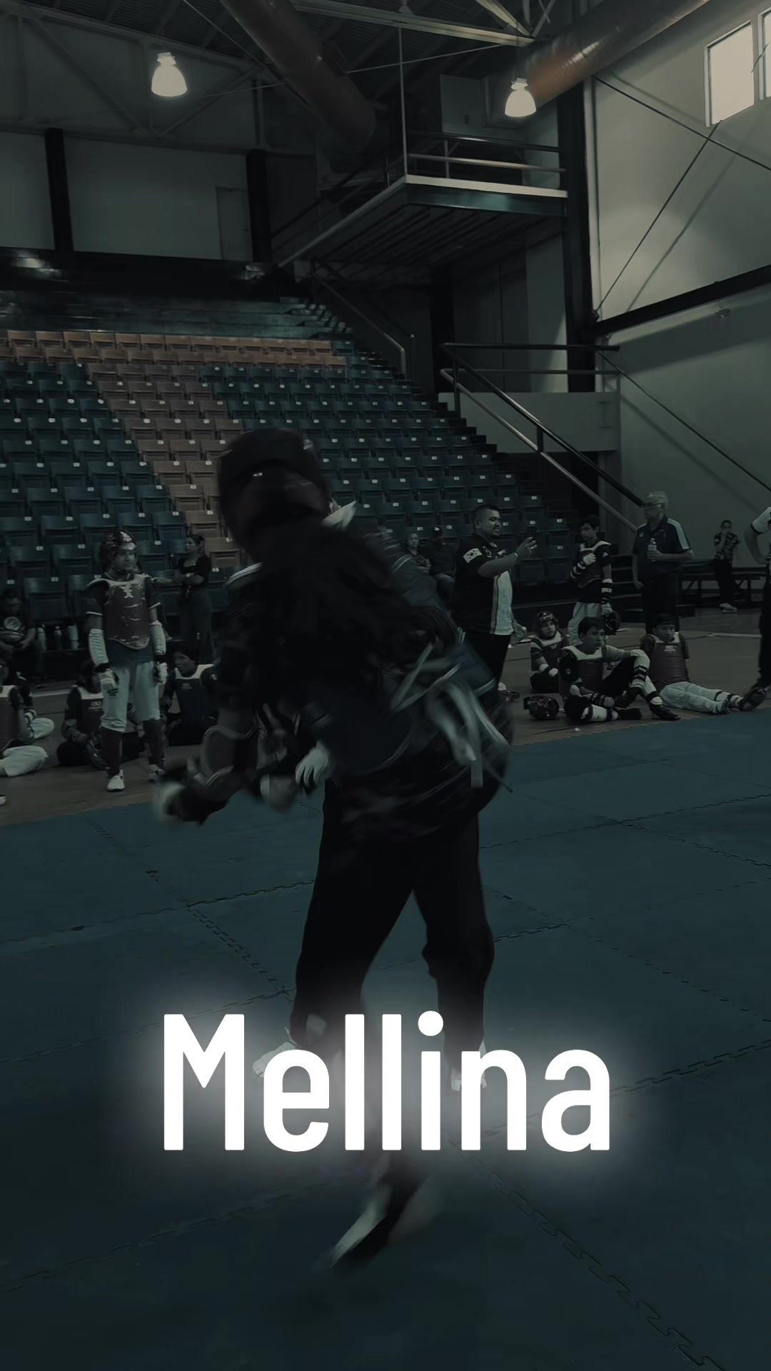 @taekwondolionsteam