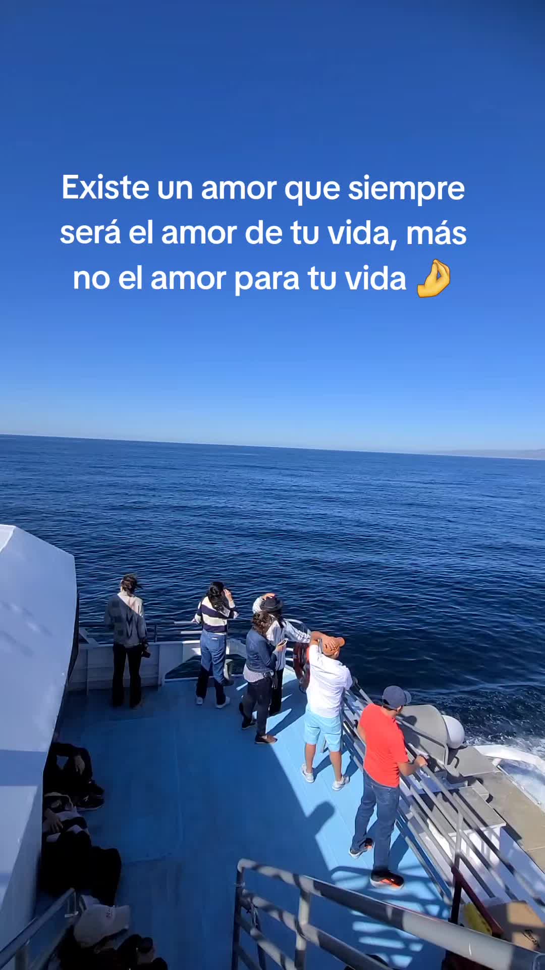 @✨️🖤🦈☆₦/₳☆🐺🦊🦂🖤✨️