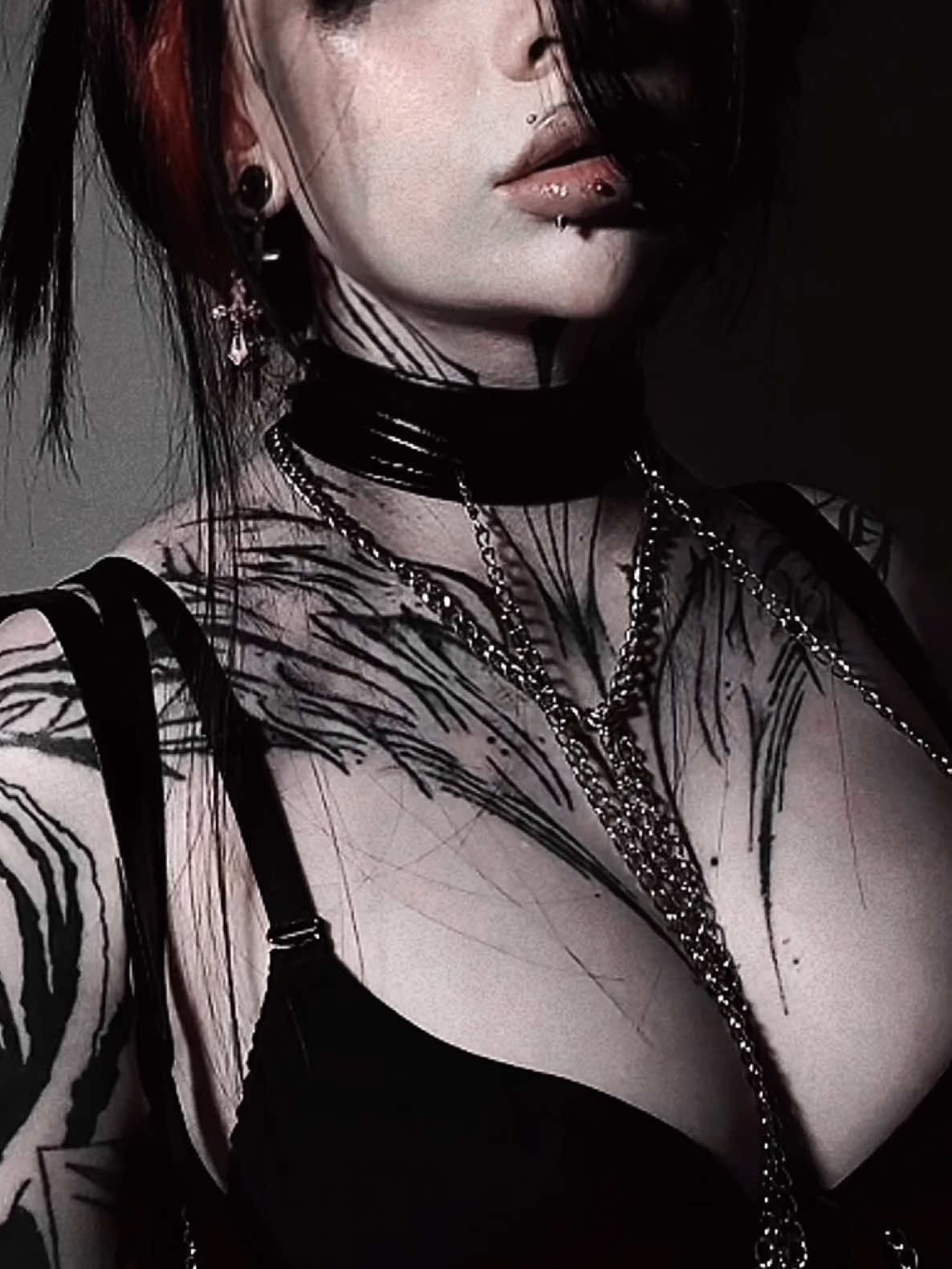 @catana 🕷️