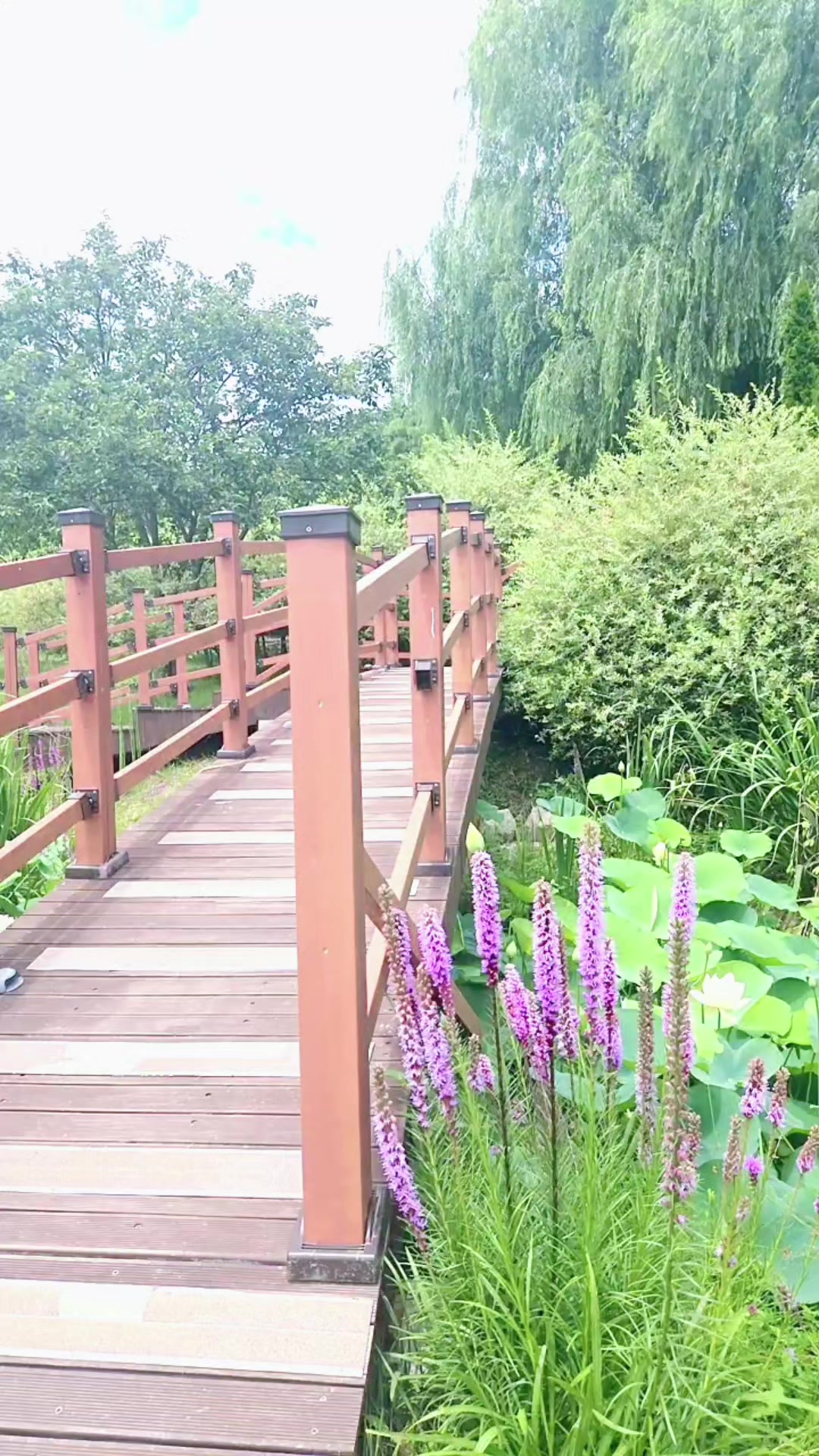 @g&aacute;i hải dương