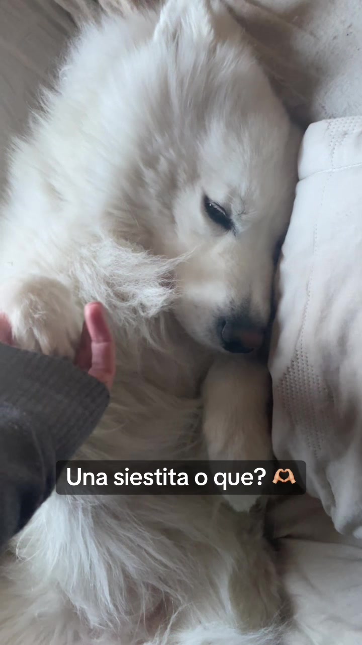@Valentina.vd