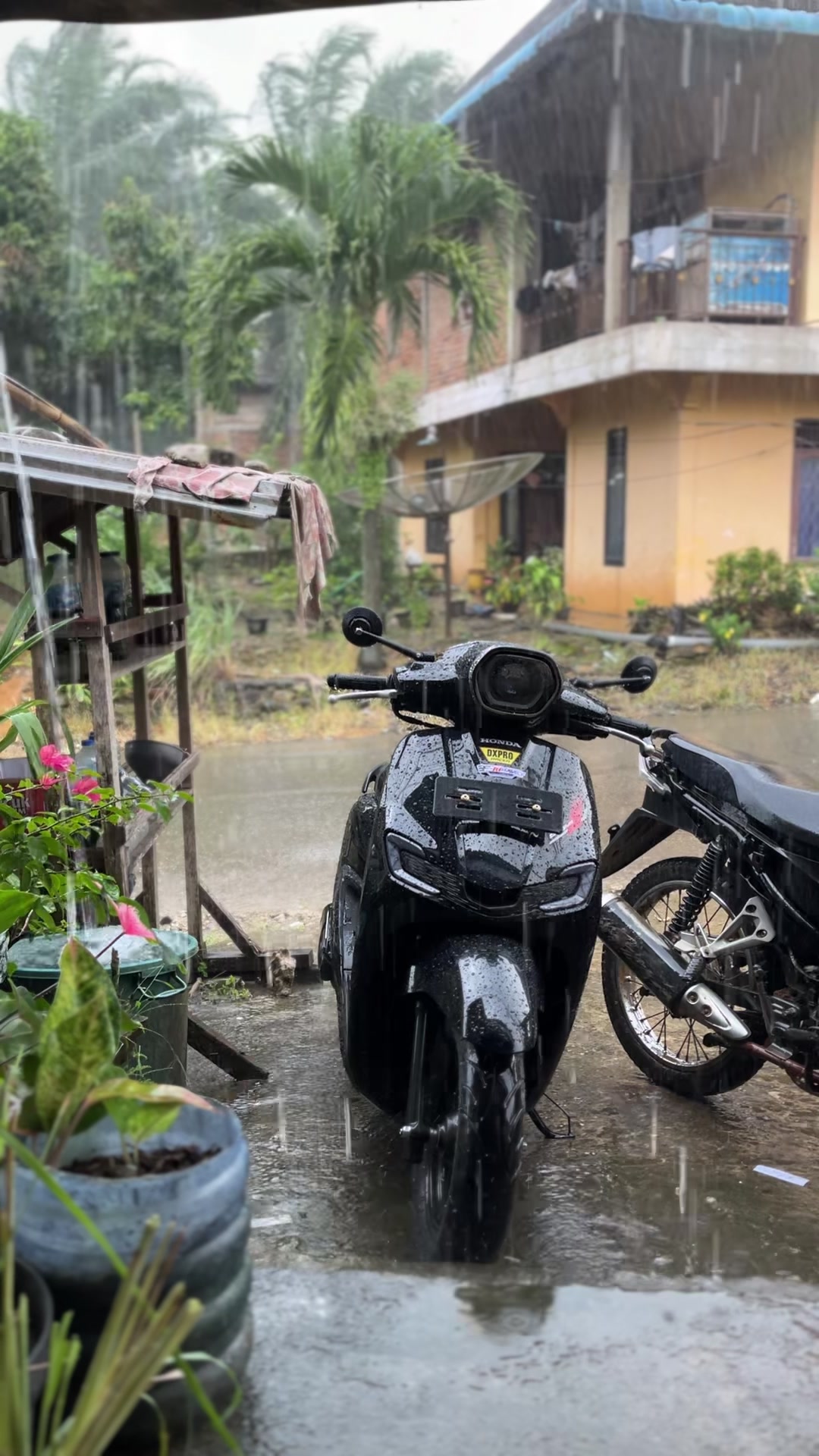 @SI aris🕸️MTD🕸️
