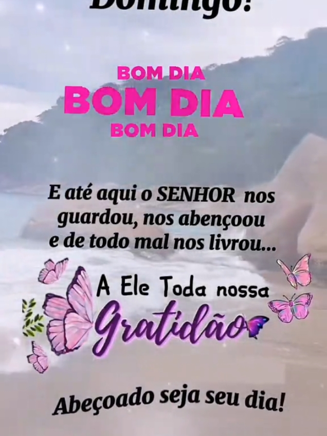 @Niube Resende💃👠📕🇧🇷🌻