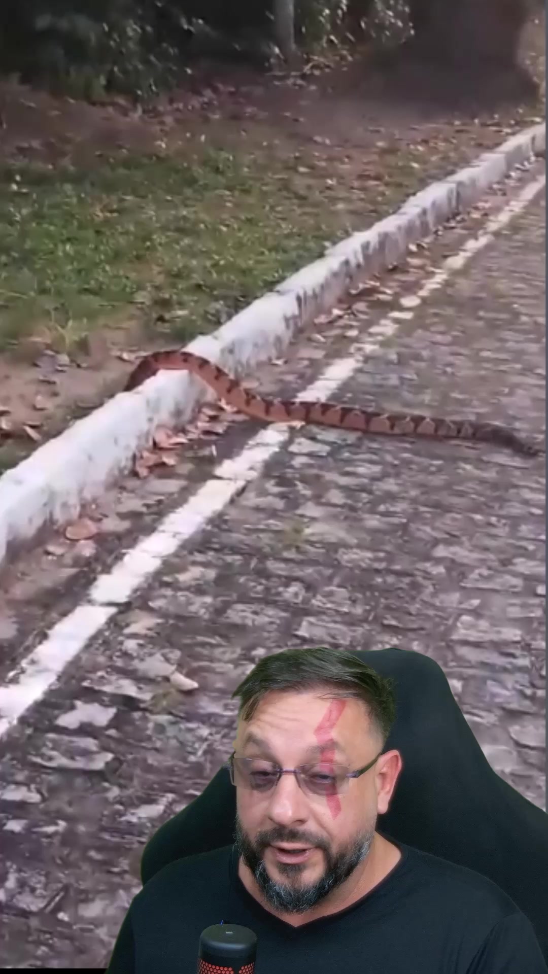 @Biólogo Henrique