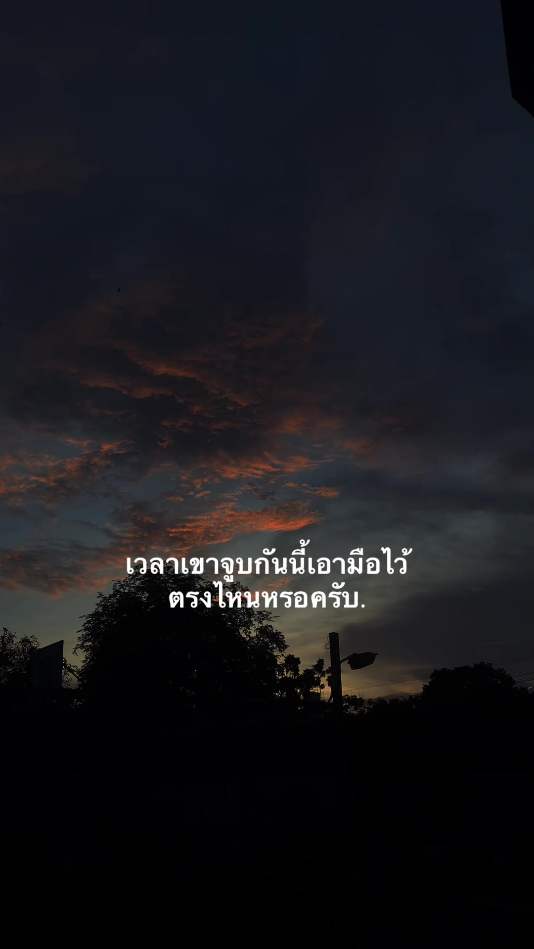 @หมาล่า (151.4K)