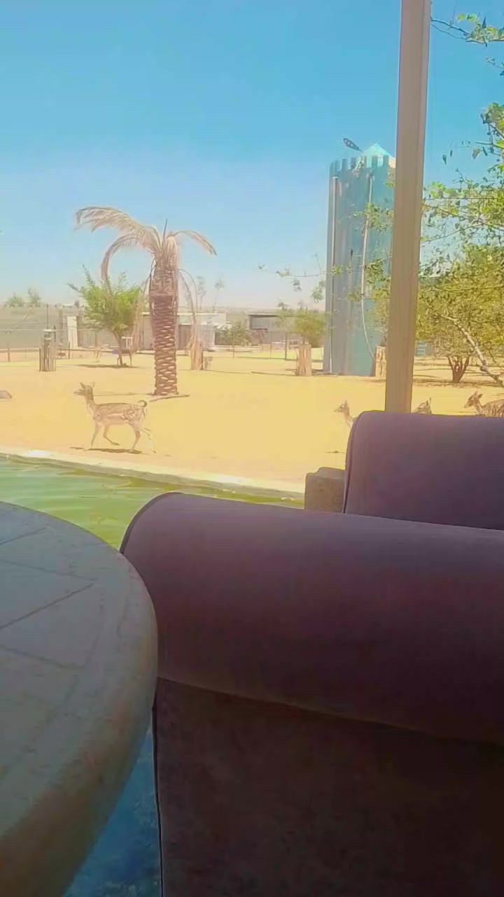 @Gulzar 🇸🇦