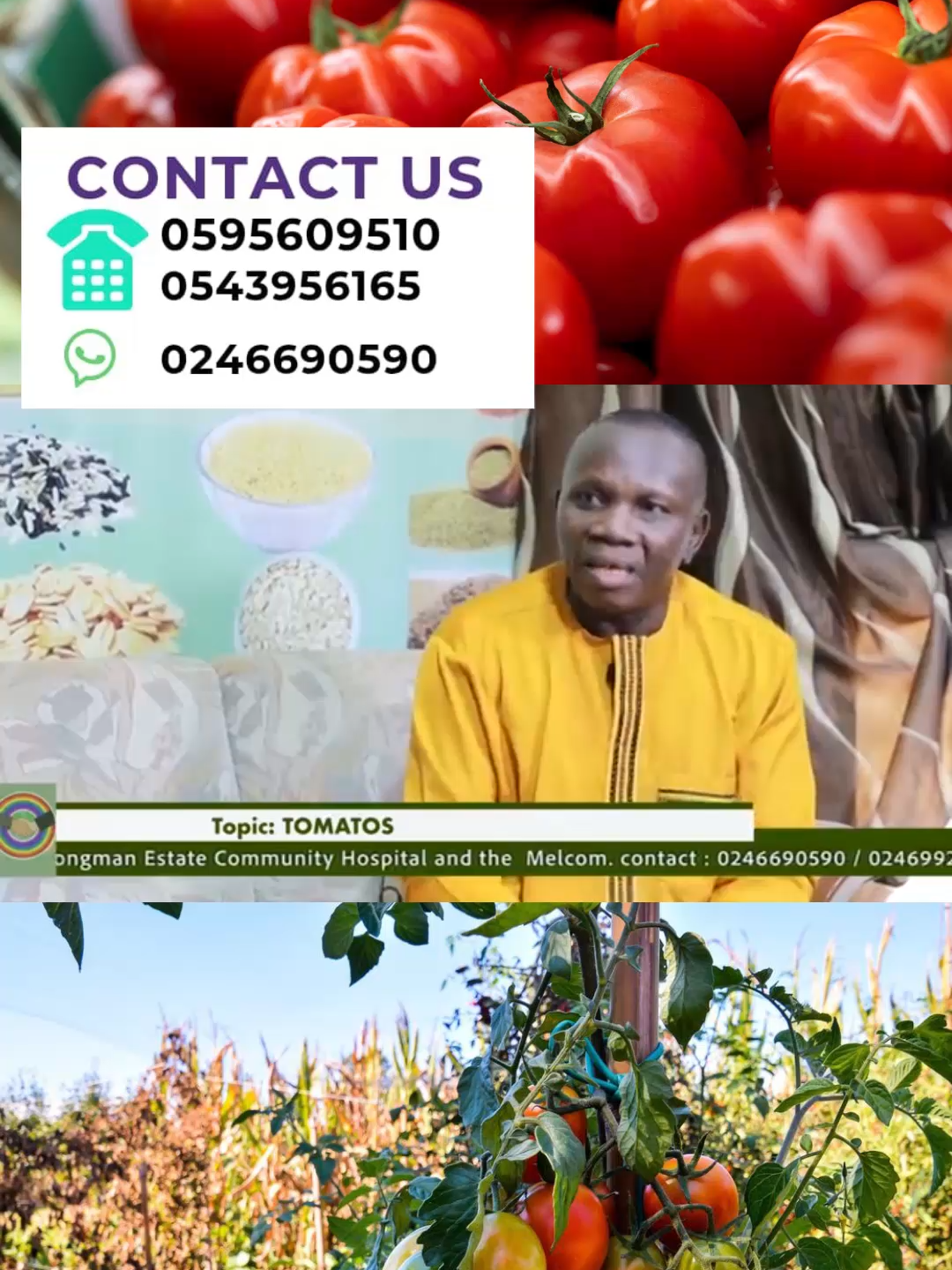 @Agadarko Media